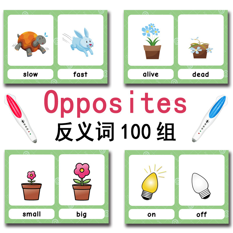 100 cartes mémoire sur les gro - Kids Toys And Games avis et prix