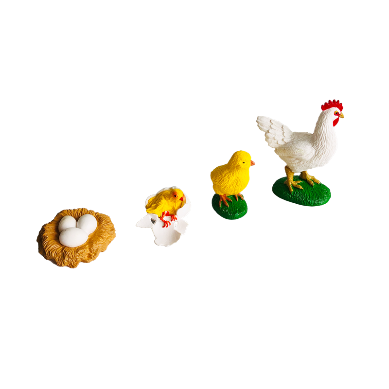 Cartes et modèles d'animaux du - Kids Toys Cycle avis et prix