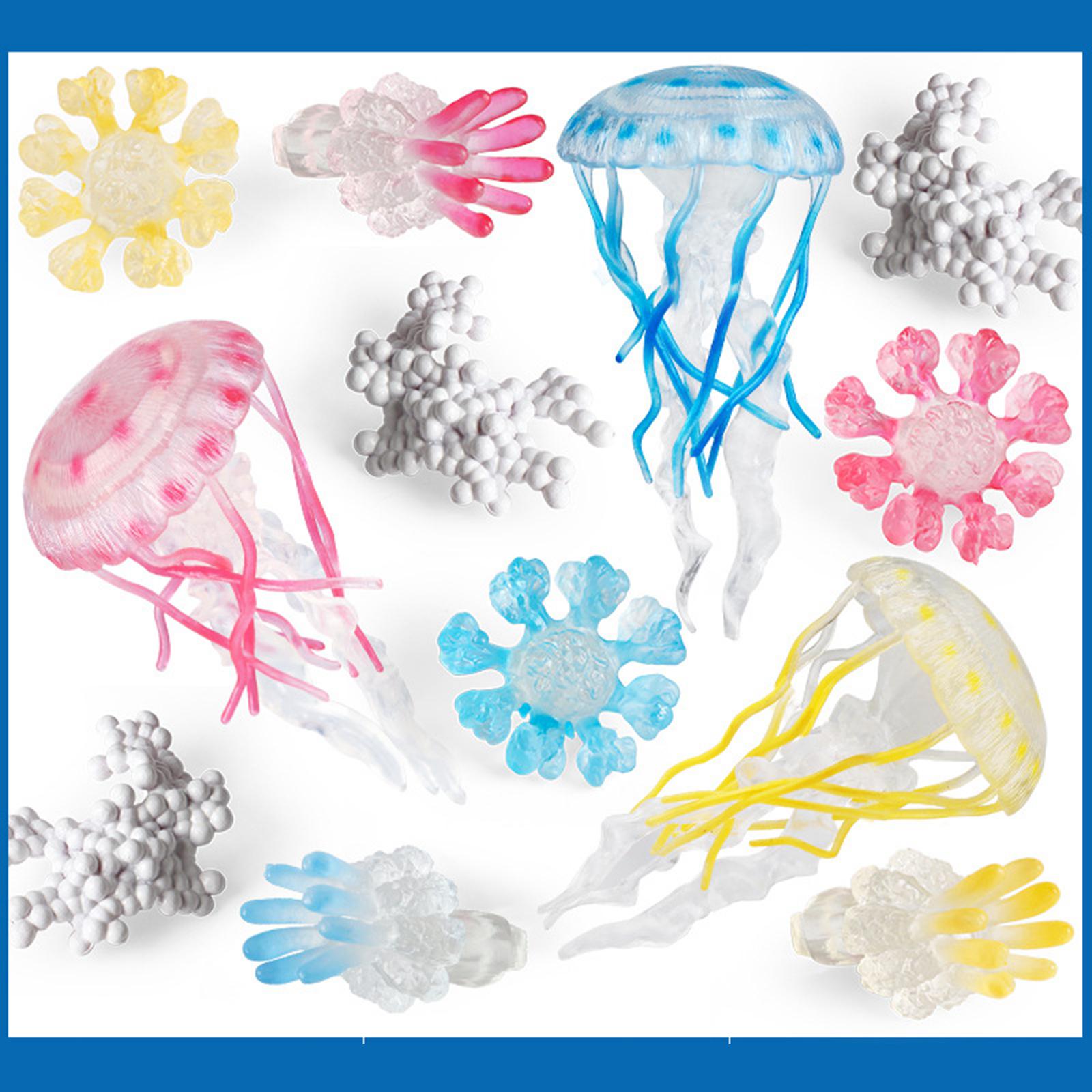 Modèle du cycle de vie des méd - Kids Toys Cycle avis et prix