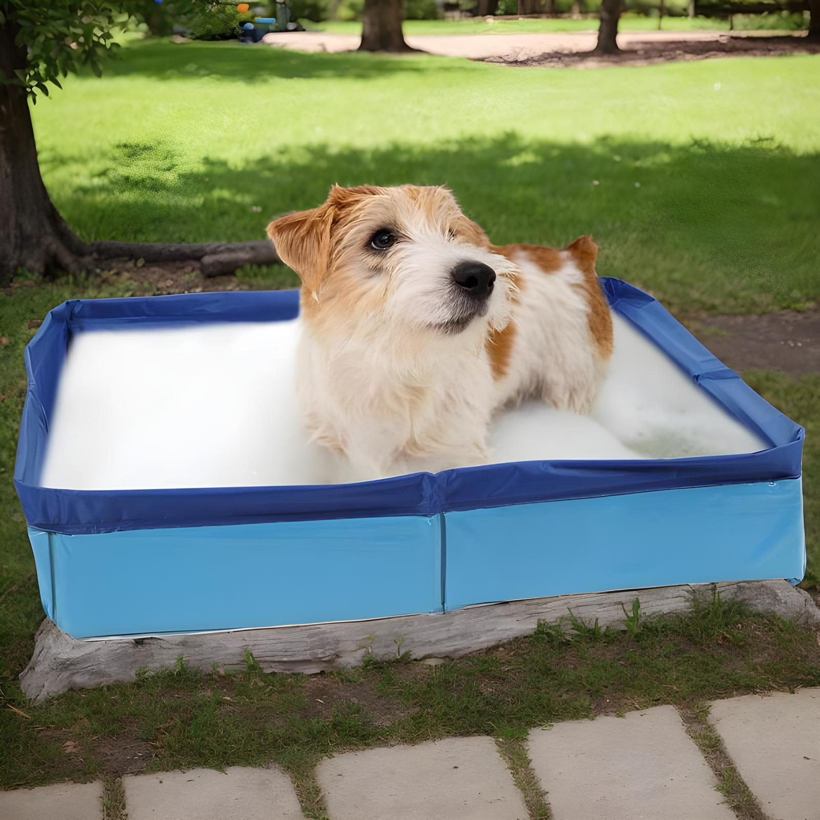 Piscine pliante pour animaux d - Kids Toys Deals avis et prix