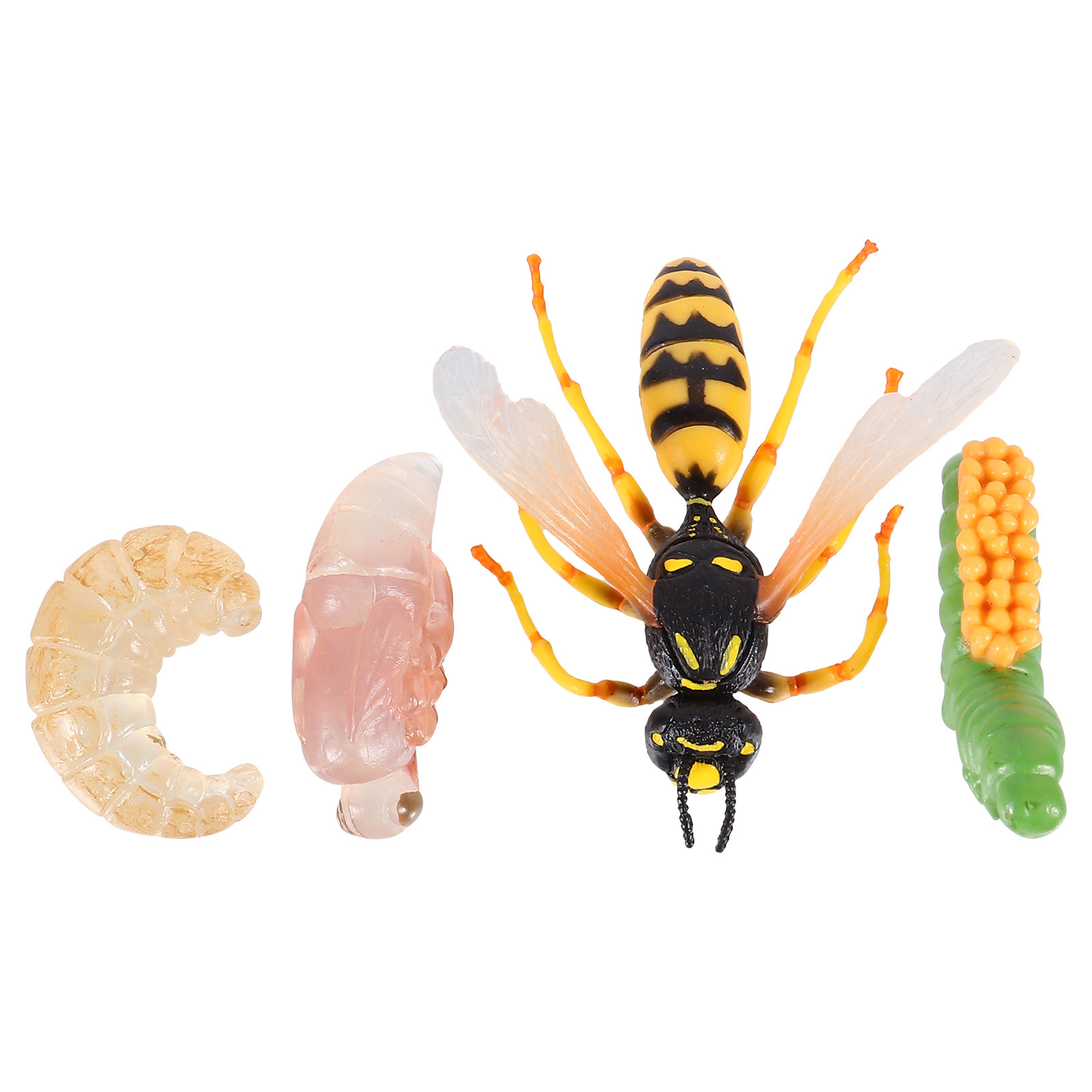 Figurines d'insectes pour enfa - Kids Toys Cycle avis et prix