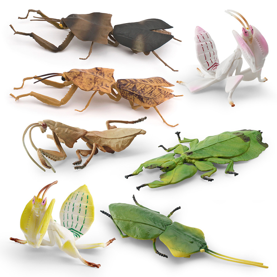 Modèle réaliste de Mantis Orch - Kids Toys Home avis et prix
