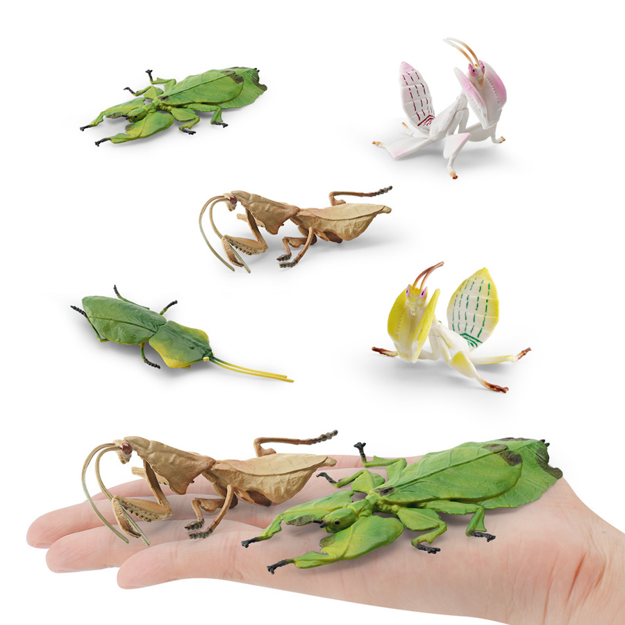 Modèle réaliste de Mantis Orch - Kids Toys Home avis et prix